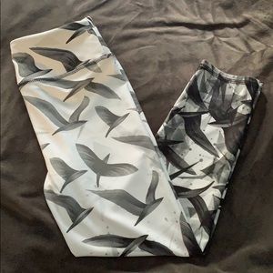 evolution & creation leggings